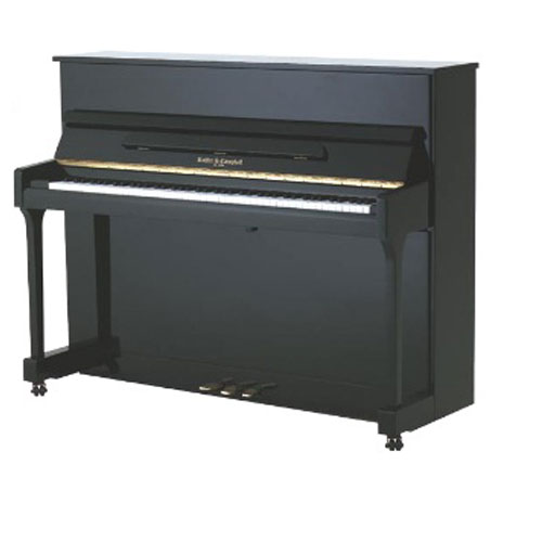 cac cay dan piano re dang mua