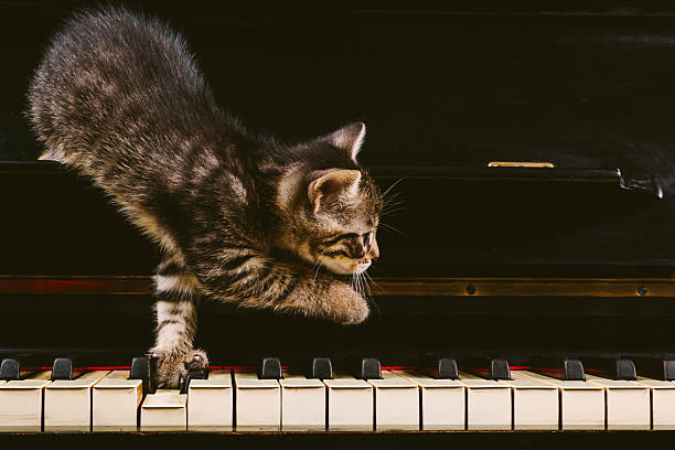 Hình ảnh piano đẹp
