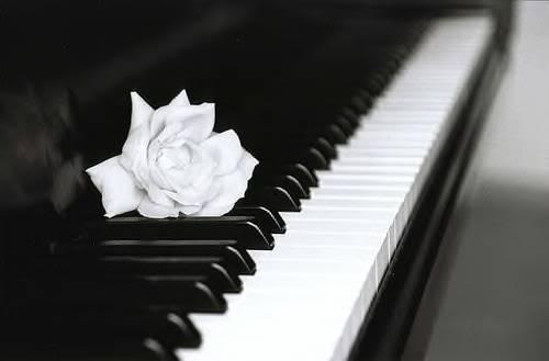 ne mua dan piano co hay dien