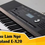 Địa điểm Roland E-X20 chính hãng