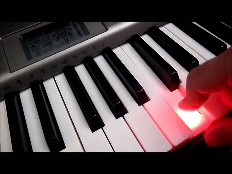 lua-chon-dan-organ-casio-nao-cho-be-tho