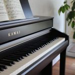 Yếu tố tạo nên chất lượng của địa điểm bán đàn piano mới